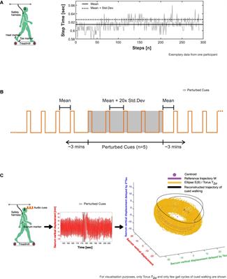 Adapting Footfall Rhythmicity to Auditory Perturbations Affects Resilience of Locomotor Behavior: A Proof-of-Concept Study